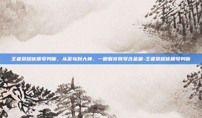 王者荣耀优质号判断，从菜鸟到大神，一眼看穿账号含金量-王者荣耀优质号判断