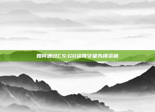 如何通过CS:GO获得守望先锋资格