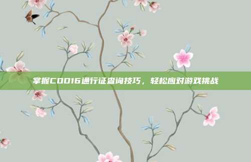 掌握COD16通行证查询技巧,轻松应对游戏挑战