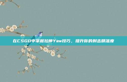 在CSGO中掌握拉伸Yaw技巧,提升你的射击精准度