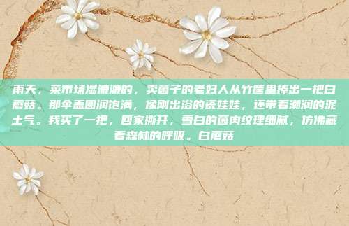 雨天,菜市场湿漉漉的,卖菌子的老妇人从竹筐里捧出一把白蘑菇。那伞盖圆润饱满,像刚出浴的瓷娃娃,还带着潮润的泥土气。我买了一把,回家撕开,雪白的菌肉纹理细腻,仿佛藏着森林的呼吸。白蘑菇