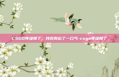 CSGO等级降了,我反而松了一口气-csgo等级降了