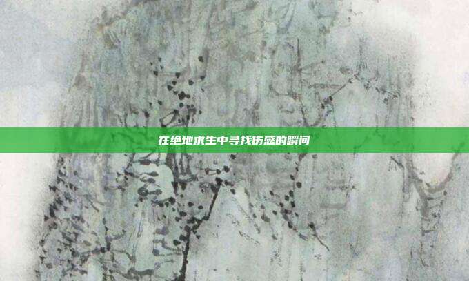 在绝地求生中寻找伤感的瞬间