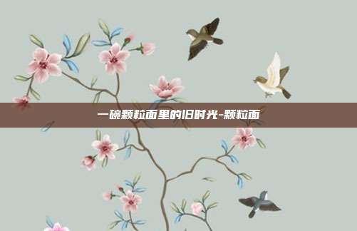 一碗颗粒面里的旧时光-颗粒面
