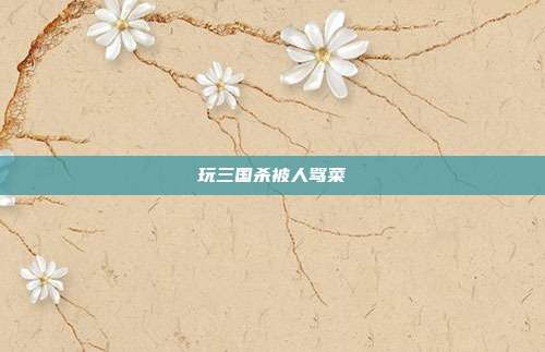 玩三国杀被人骂菜