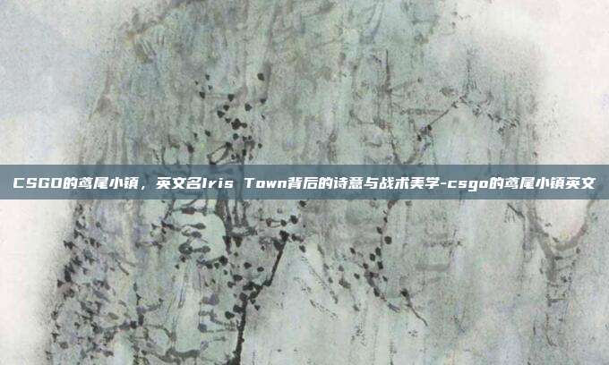CSGO的鸢尾小镇,英文名Iris Town背后的诗意与战术美学-csgo的鸢尾小镇英文