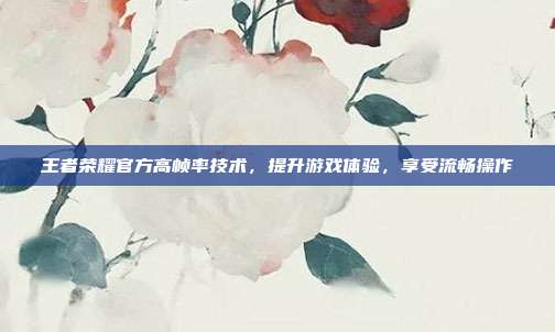 王者荣耀官方高帧率技术,提升游戏体验,享受流畅操作