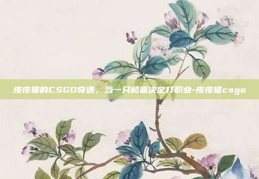 皮皮猫的CSGO奇遇,当一只橘猫决定打职业-皮皮猫csgo