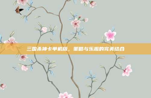 三国杀神卡单机版,策略与乐趣的完美结合