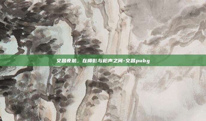 文昌夜航,在椰影与枪声之间-文昌pubg