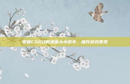 掌握CSGO调地图大小命令,提升游戏表现