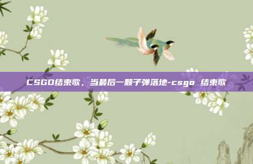 CSGO结束歌,当最后一颗子弹落地-csgo 结束歌
