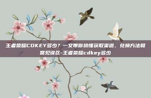 王者荣耀CDKEY多少？一文带你搞懂获取渠道、兑换方法和常见误区-王者荣耀cdkey多少