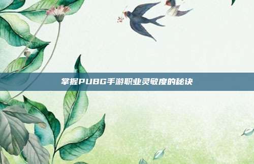 掌握PUBG手游职业灵敏度的秘诀