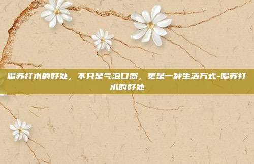 喝苏打水的好处,不只是气泡口感,更是一种生活方式-喝苏打水的好处