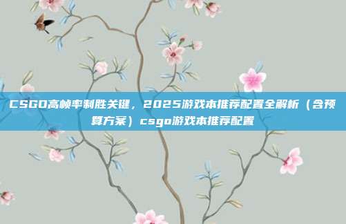 CSGO高帧率制胜关键，2025游戏本推荐配置全解析（含预算方案）csgo游戏本推荐配置