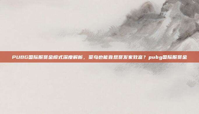 PUBG国际服赏金模式深度解析，菜鸟也能靠悬赏发家致富？pubg国际服赏金