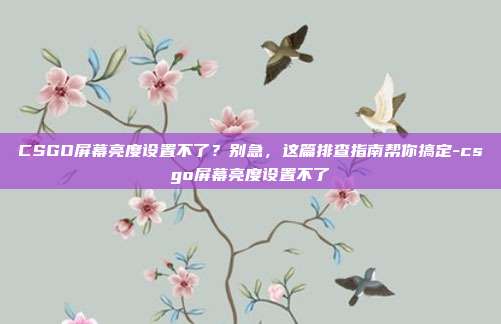 CSGO屏幕亮度设置不了？别急，这篇排查指南帮你搞定-csgo屏幕亮度设置不了