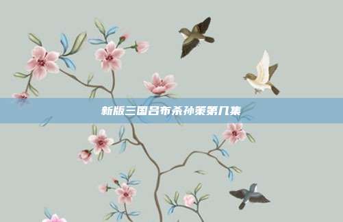 新版三国吕布杀孙策第几集