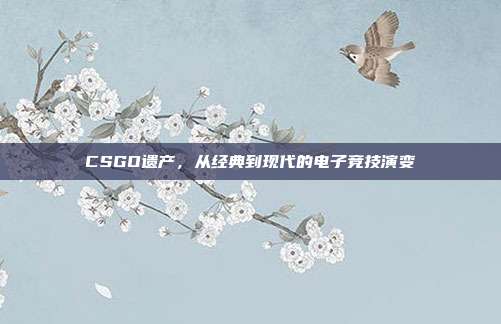 CSGO遗产,从经典到现代的电子竞技演变