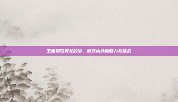 王者荣耀美女的脚,游戏内外的魅力与挑战
