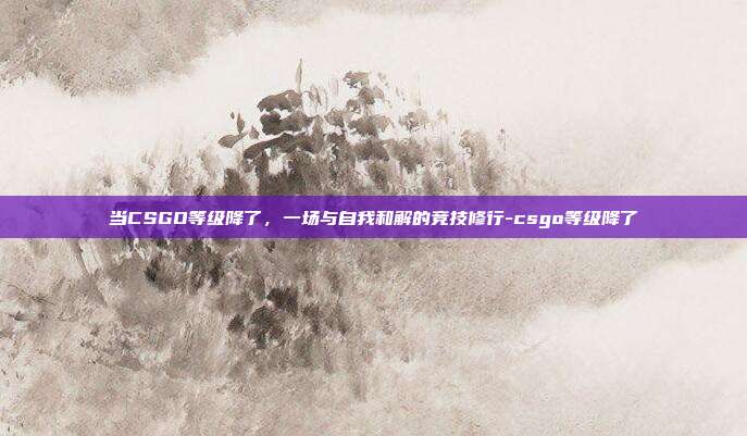 当CSGO等级降了，一场与自我和解的竞技修行-csgo等级降了