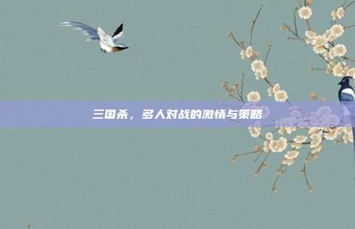 三国杀,多人对战的激情与策略