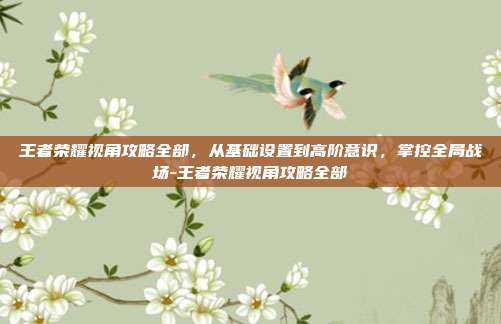 王者荣耀视角攻略全部，从基础设置到高阶意识，掌控全局战场-王者荣耀视角攻略全部
