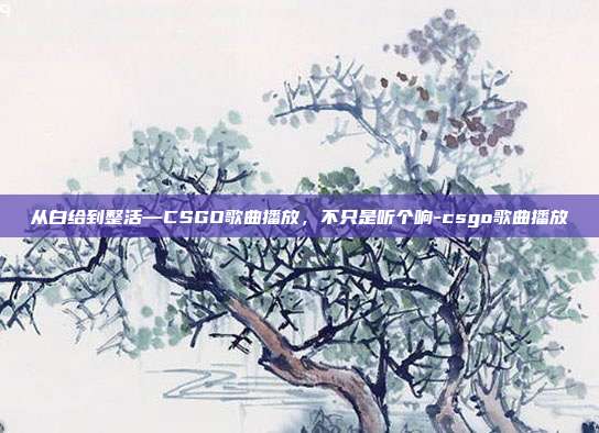 从白给到整活—CSGO歌曲播放,不只是听个响-csgo歌曲播放