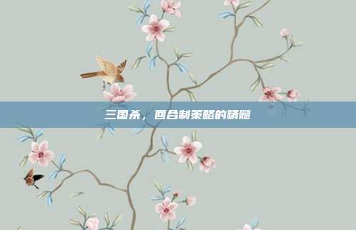 三国杀,回合制策略的精髓