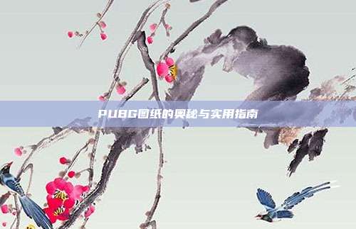 PUBG图纸的奥秘与实用指南