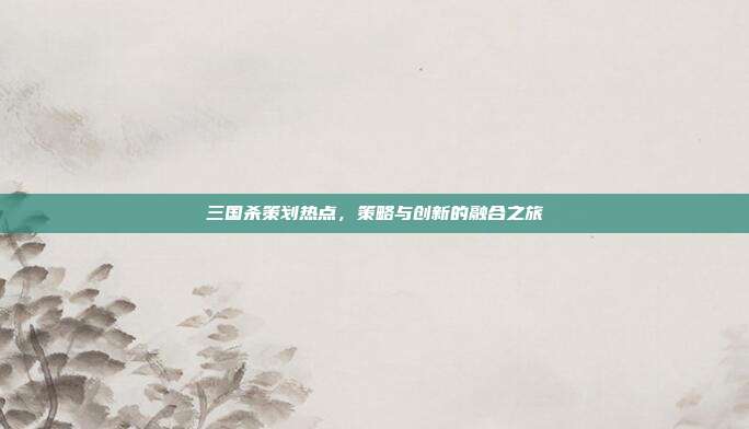 三国杀策划热点,策略与创新的融合之旅