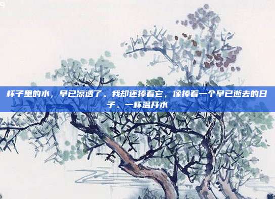 杯子里的水,早已凉透了。我却还捧着它,像捧着一个早已逝去的日子。一杯温开水