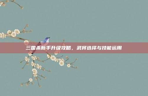 三国杀新手升级攻略,武将选择与技能运用