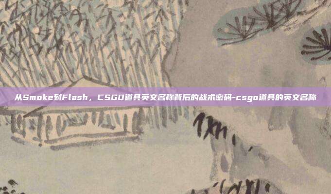 从Smoke到Flash，CSGO道具英文名称背后的战术密码-csgo道具的英文名称