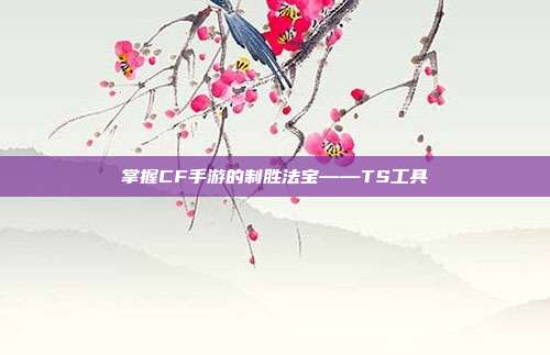掌握CF手游的制胜法宝——TS工具