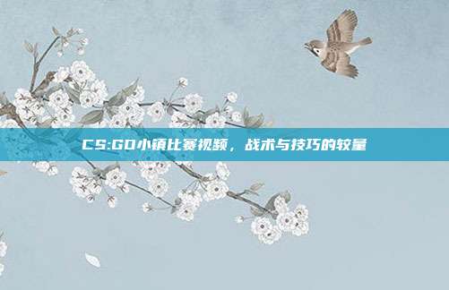 CS:GO小镇比赛视频,战术与技巧的较量