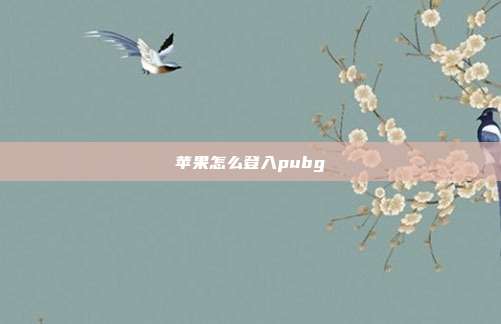 苹果怎么登入pubg