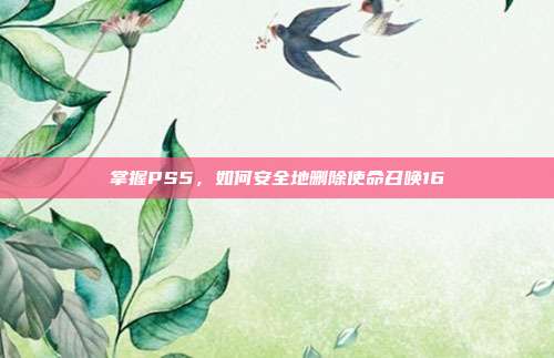 掌握PS5,如何安全地删除使命召唤16