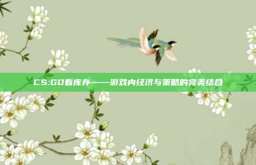 CS:GO看库存——游戏内经济与策略的完美结合