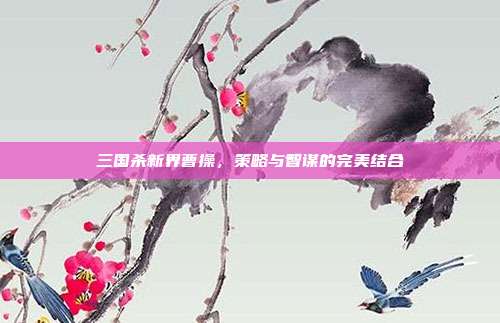 三国杀新界曹操,策略与智谋的完美结合