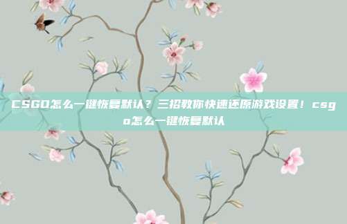 CSGO怎么一键恢复默认?三招教你快速还原游戏设置!csgo怎么一键恢复默认