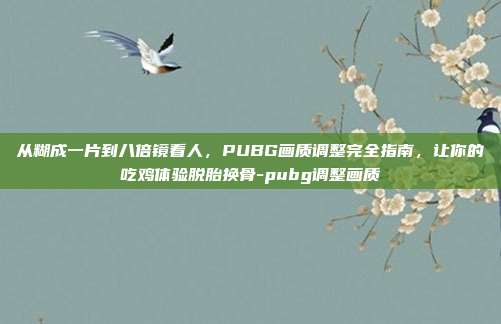 从糊成一片到八倍镜看人,PUBG画质调整完全指南,让你的吃鸡体验脱胎换骨-pubg调整画质