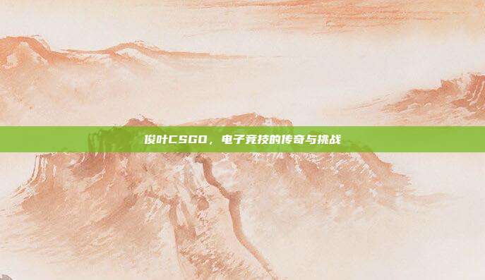 俊叶CSGO,电子竞技的传奇与挑战