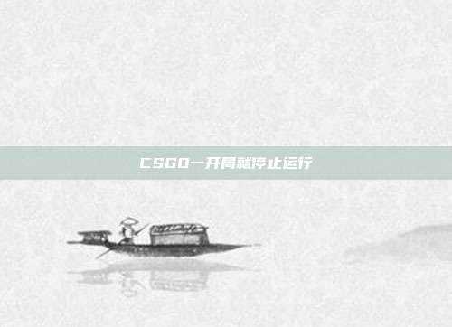 CSGO一开局就停止运行