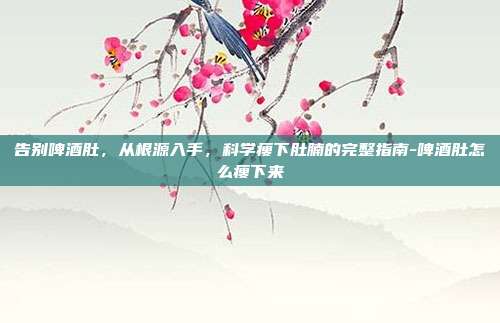 告别啤酒肚,从根源入手,科学瘦下肚腩的完整指南-啤酒肚怎么瘦下来