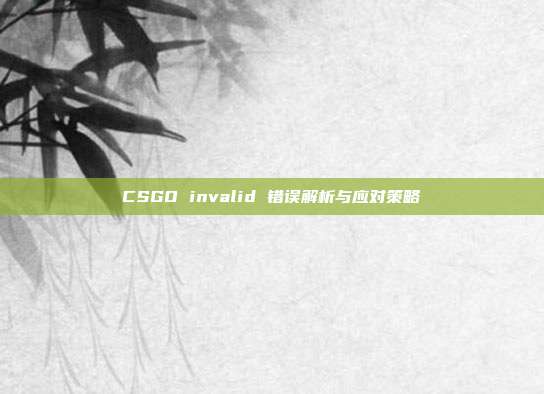 CSGO invalid 错误解析与应对策略