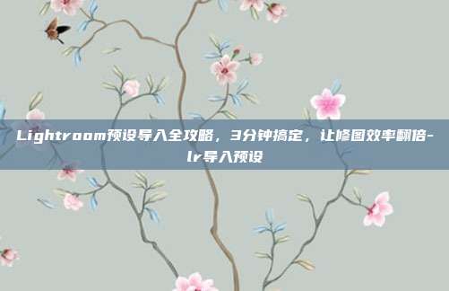 Lightroom预设导入全攻略,3分钟搞定,让修图效率翻倍-lr导入预设