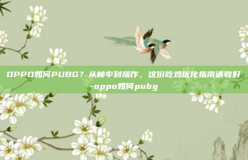 OPPO如何PUBG?从帧率到操作,这份吃鸡优化指南请收好-oppo如何pubg