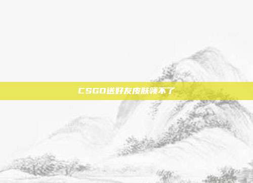 CSGO送好友皮肤领不了